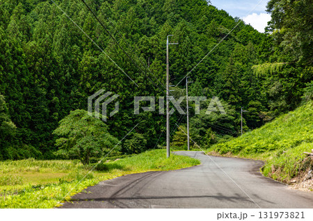 静岡県周智郡森町鍛治島 山里の風景 静岡県周智郡森町鍛治島 山里の風景 131973821