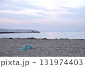 夕暮れの静かな海辺に打ち捨てられたサンダル 131974403