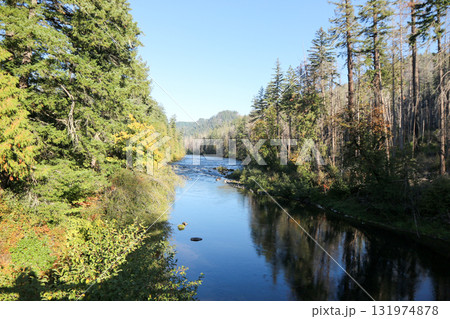 オレゴン州南部に位置するアンプクア国有林の風景 オレゴン州南部に位置するアンプクア国有林の風景 131974878
