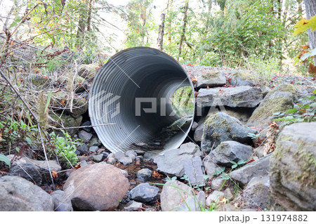 オレゴン州南部に位置するアンプクア国有林の風景 オレゴン州南部に位置するアンプクア国有林の風景 131974882