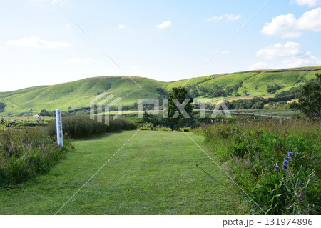 ヒゴタイ公園の風景 131974896