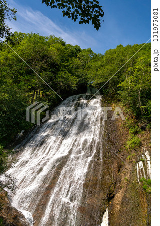 Tall forest waterfall under clear blue summer sky Tall forest waterfall under clear blue summer sky 131975081