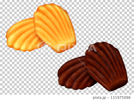 兩種貝殼形瑪德琳蛋糕：原味和巧克力味 131975086