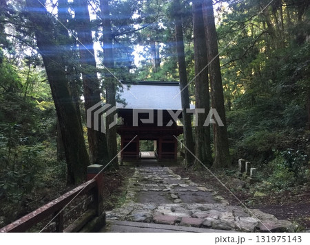 雨に濡れた山門 雨に濡れた山門 131975143