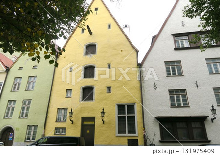 タリン旧市街の3人兄弟 タリン旧市街の3人兄弟 131975409