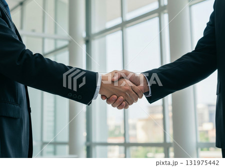 ビジネスシーンの握手・信頼とパートナーシップの象徴 ビジネスシーンの握手・信頼とパートナーシップの象徴 131975442