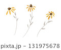 黄色い秋の花のイラスト　水彩風 131975678