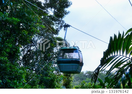 熱帯雨林の上空を通過するケーブルウエイ 131976142