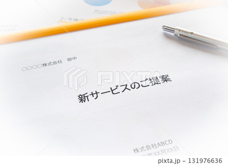 新サービスの提案書　企画書の冊子　プレゼン資料の準備 131976636