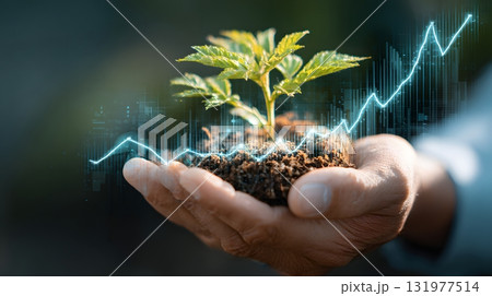 Plant in hand with growth graph overlay 131977514