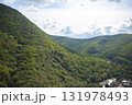 Beautiful natural landscape of the forest mountains in the summer time. Rainforest ecosystem, forested green mountain. Natural scenery tropical green forest. Travel photo, nobody 131978493