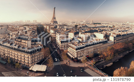 上空から眺めるエッフェル塔とノートルダム大聖堂 131978790