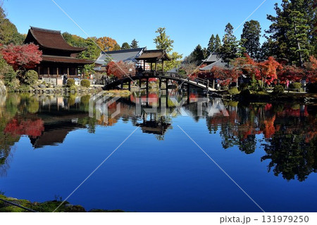 水面に映る永保寺の紅葉 131979250