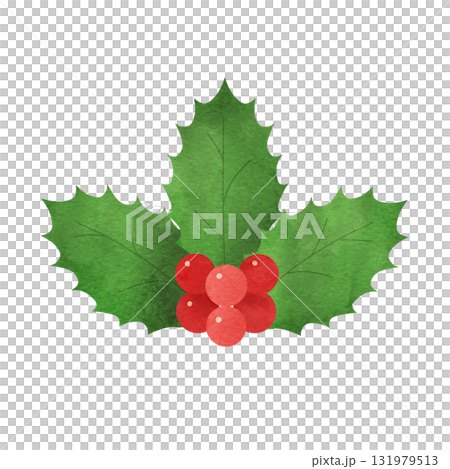 聖誕節手繪水彩畫，有三片冬青葉和紅色漿果 131979513