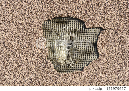 Damaged Facade Texture Damaged Facade Texture 131979627