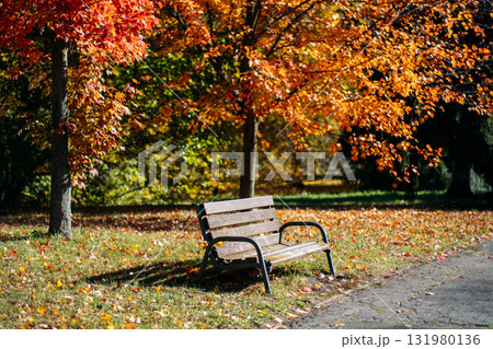 Wooden public bench positioned beside a paved path under vibrant autumn foliage in a sunny park. Park infrastructure, seasonal landscaping, accessible seating, inclusive urban spaces Wooden public bench positioned beside a paved path under vibrant autumn foliage in a sunny park. Park infrastructure, seasonal landscaping, accessible seating, inclusive urban spaces 131980136