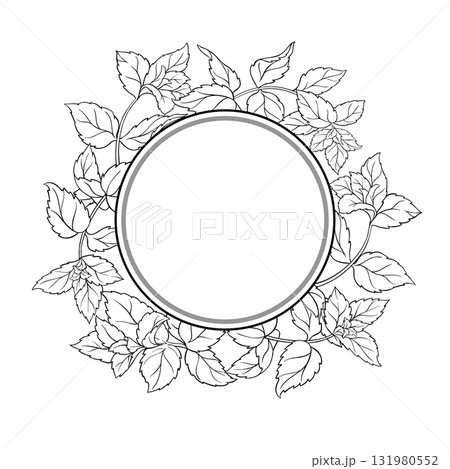 Peppermint Branch Outline Round Frame. 131980552