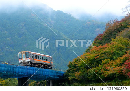 紅葉の中を走るディーゼル列車 131980820