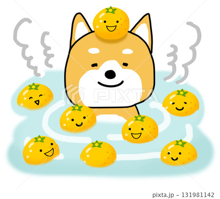 たくさんの柚子とゆず湯に入って温まっているしばいぬ 131981142