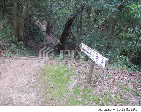 2014年・香川・高松・屋島・風景・寺院・屋島寺・其の百八十二 2014年・香川・高松・屋島・風景・寺院・屋島寺・其の百八十二 131981193