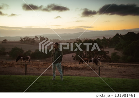 A Contemplative Moment at Sunset with Grazing Cows in the Background 131981461