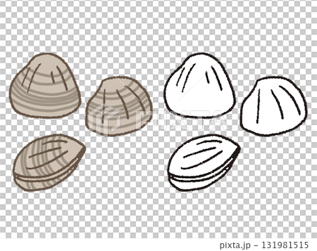 手描きのアサリ 131981515