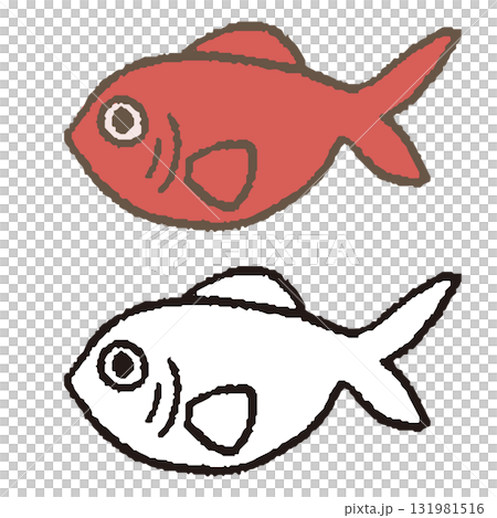 手繪金目鯛 131981516