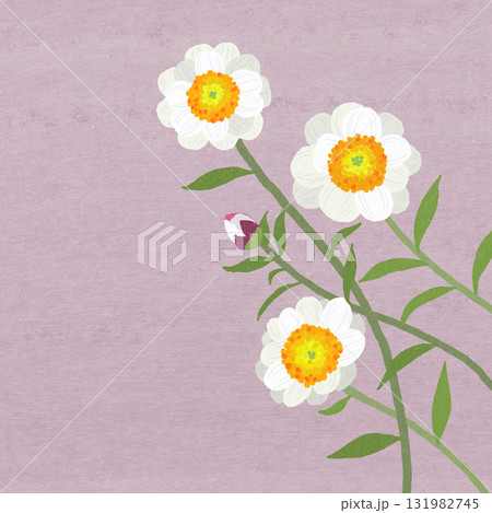 ハナカンザシ 131982745