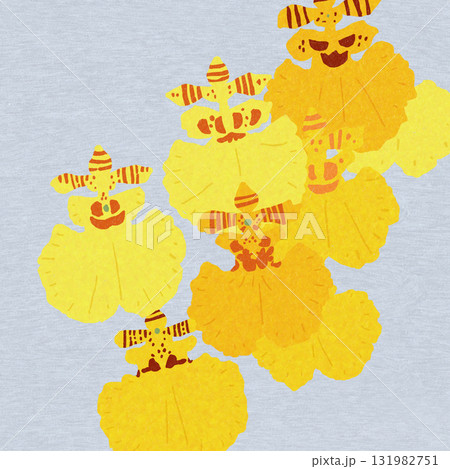 オンシジューム、蘭の花（群雀蘭） 131982751