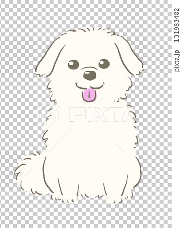 Sitting Maltese Sitting Maltese 131983482
