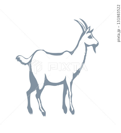 Big white goat. Vector animal Big white goat. Vector animal 131983522