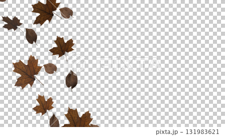 The Autumn Leaf  png image for Season or holiday concept 3d Rendering. 131983621