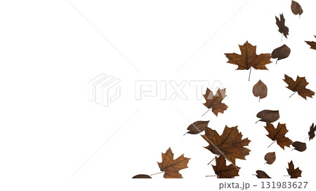 The Autumn Leaf  png image for Season or holiday concept 3d Rendering. 131983627