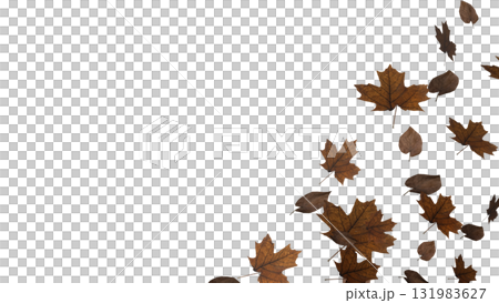 The Autumn Leaf  png image for Season or holiday concept 3d Rendering. 131983627