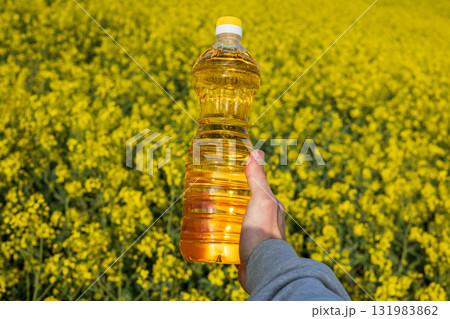 A person holds a bottle of canola oil in a bright, blooming rapeseed field, showcasing the beauty of nature during a sunny day A person holds a bottle of canola oil in a bright, blooming rapeseed field, showcasing the beauty of nature during a sunny day 131983862