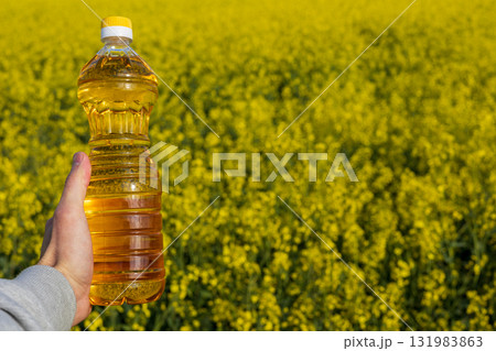 A person holds a bottle of golden canola oil against a backdrop of bright yellow rapeseed flowers in full bloom under sunlight 131983863