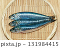 イワシ　鰯 131984415