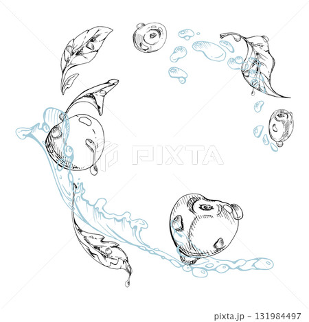 Sweet sour cherry cerise flying in water splashes drops, hand drawn vector ink, ripe line garden berry and leaves. Isolated composition illustration. Restaurant cafe menu, farmers market, wedding 131984497