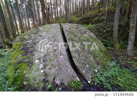 苔に覆われた岩 柳生一刀石 苔に覆われた岩 柳生一刀石 131984688