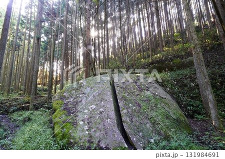 苔に覆われた岩 柳生一刀石 131984691