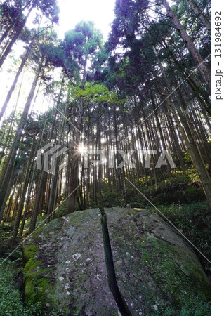 苔に覆われた岩 柳生一刀石 苔に覆われた岩 柳生一刀石 131984692