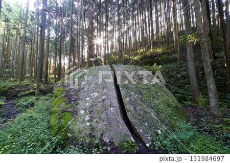 苔に覆われた岩 柳生一刀石 苔に覆われた岩 柳生一刀石 131984697