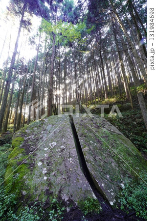 苔に覆われた岩 柳生一刀石 苔に覆われた岩 柳生一刀石 131984698