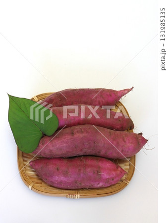 採れたてのサツマイモ（紅はるか・縦構図） 131985135