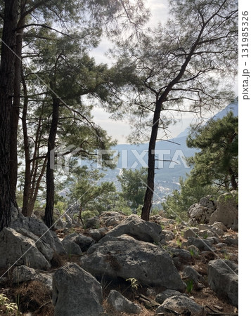 The edge of the cliff with trees growing on it and a view of the stone valley and mountains 131985326