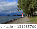 琵琶湖岸の遊歩道と湖西の山 131985700