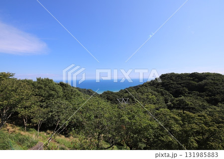 久能山東照宮　静岡県　駿河　集約電波塔　日本平デジタルタワー 131985883