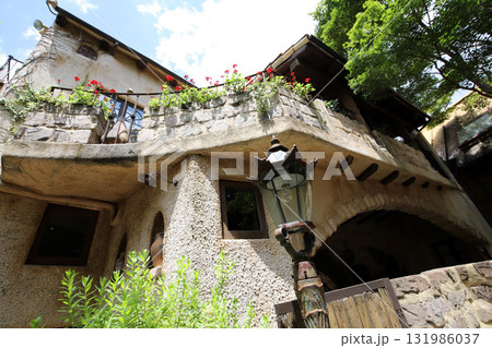 静岡県　浜松市　ぬくもりの森 131986037