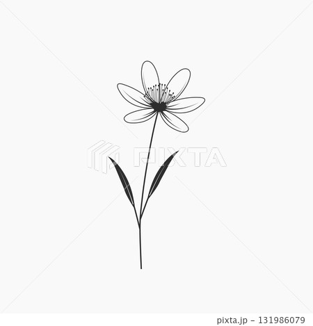 Single Flower on White Background. Single Flower on White Background. 131986079