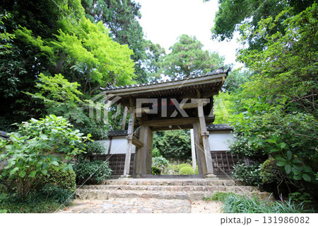 龍潭寺 奥浜名湖 静岡県 龍潭寺 奥浜名湖 静岡県 131986082